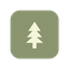 Pine Scout